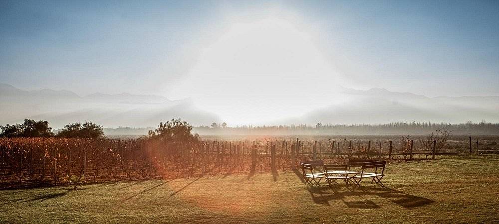 Achaval Ferrer, avagy az argentin borkészítés szenvedélye