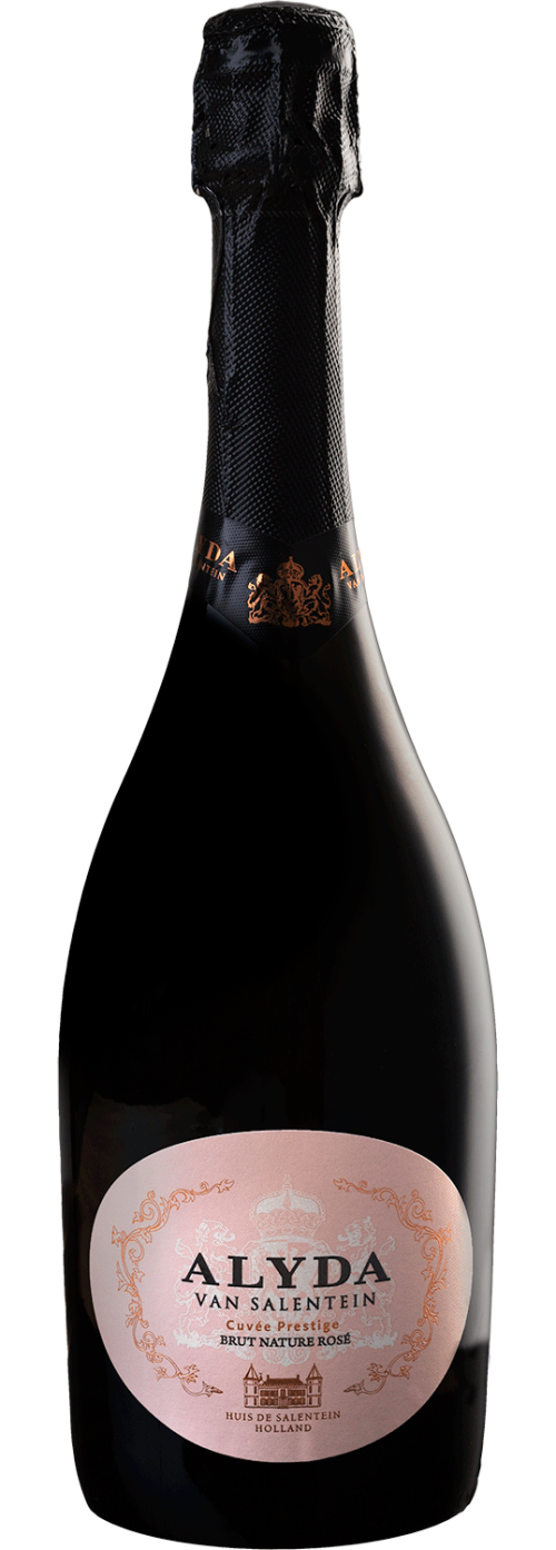 Alyda van Salentein Brut Rosé 2021 argentin pezsgő