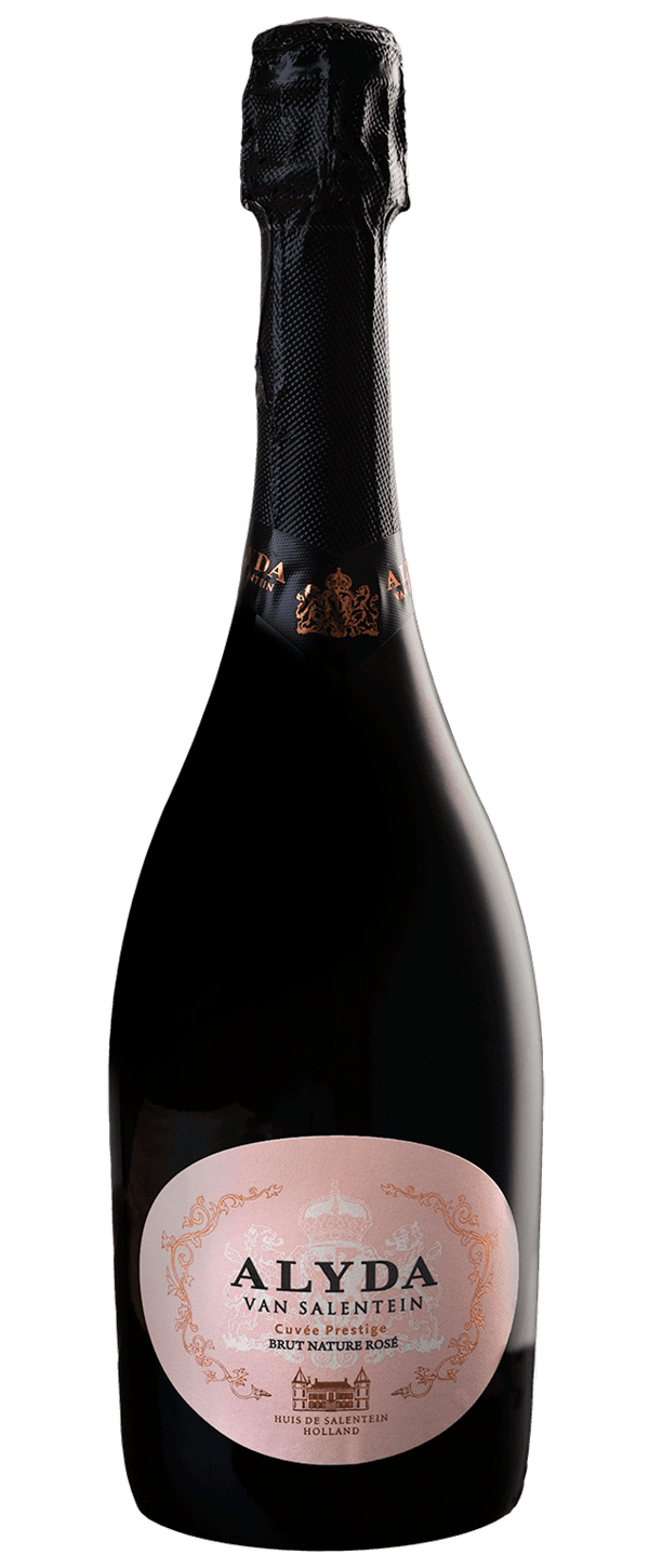 Alyda van Salentein Brut Rosé 2021 argentin pezsgő