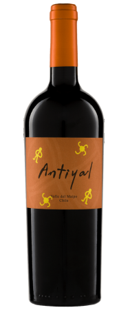 Antiyal Antiyal 2017 Syrah chilei bor