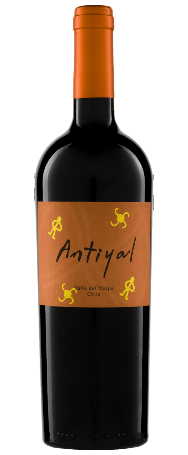 Antiyal Antiyal 2017 Syrah chilei bor