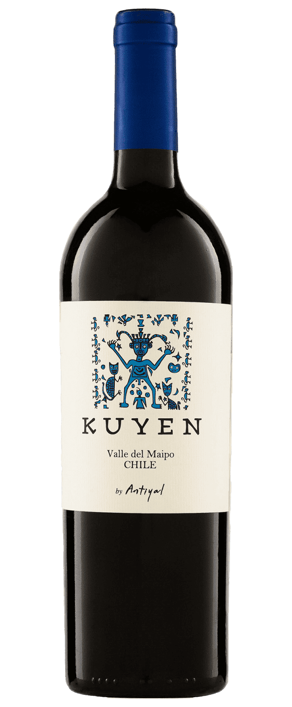 Antiyal Antiyal 2017 Syrah chilei bor
