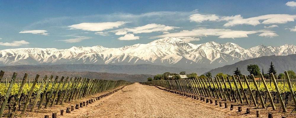 A Mendoza borvidék Argentínában