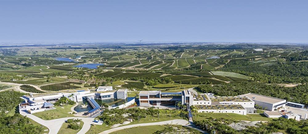 Uruguay vezető borászata, a Bodega Garzon