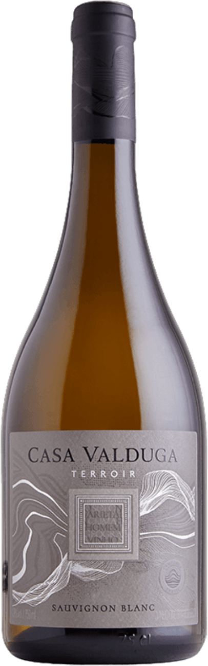 Casa Valduga Terroir Sauvignon Blanc 2023 brazil bor