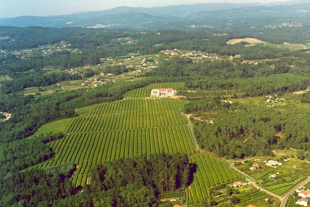 A CVNE spanyol borászat ültetvénye