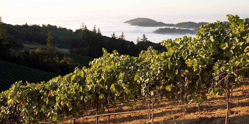 Hess Persson Estates – Borászat a Mount Veederről