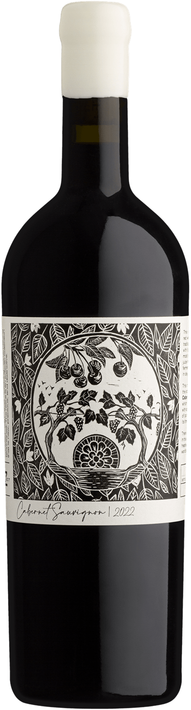 Kleine Zalze Project Z Cabernet Sauvignon 2022 dél-afrikai bor