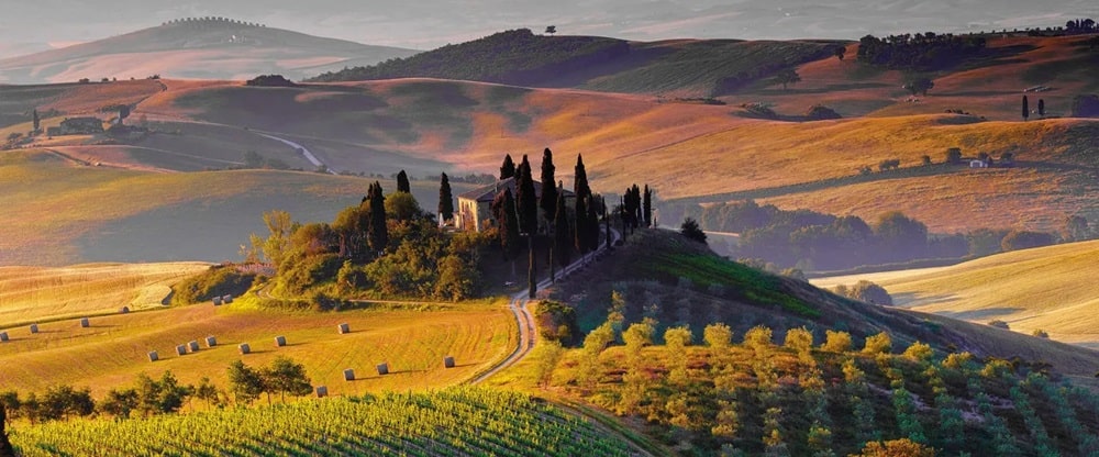 Olaszország 5+1 legnagyobb és leghíresebb borvidéke