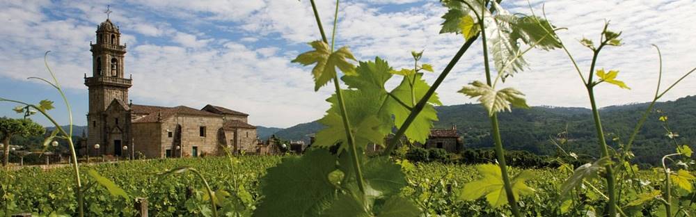 Spanyolország nagy borvidékei