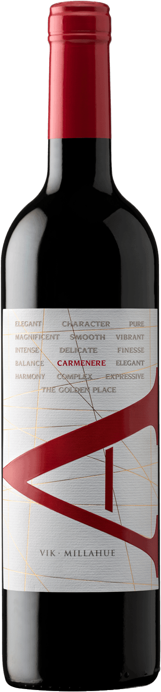 VIK A Carmenere 2022 chilei bor